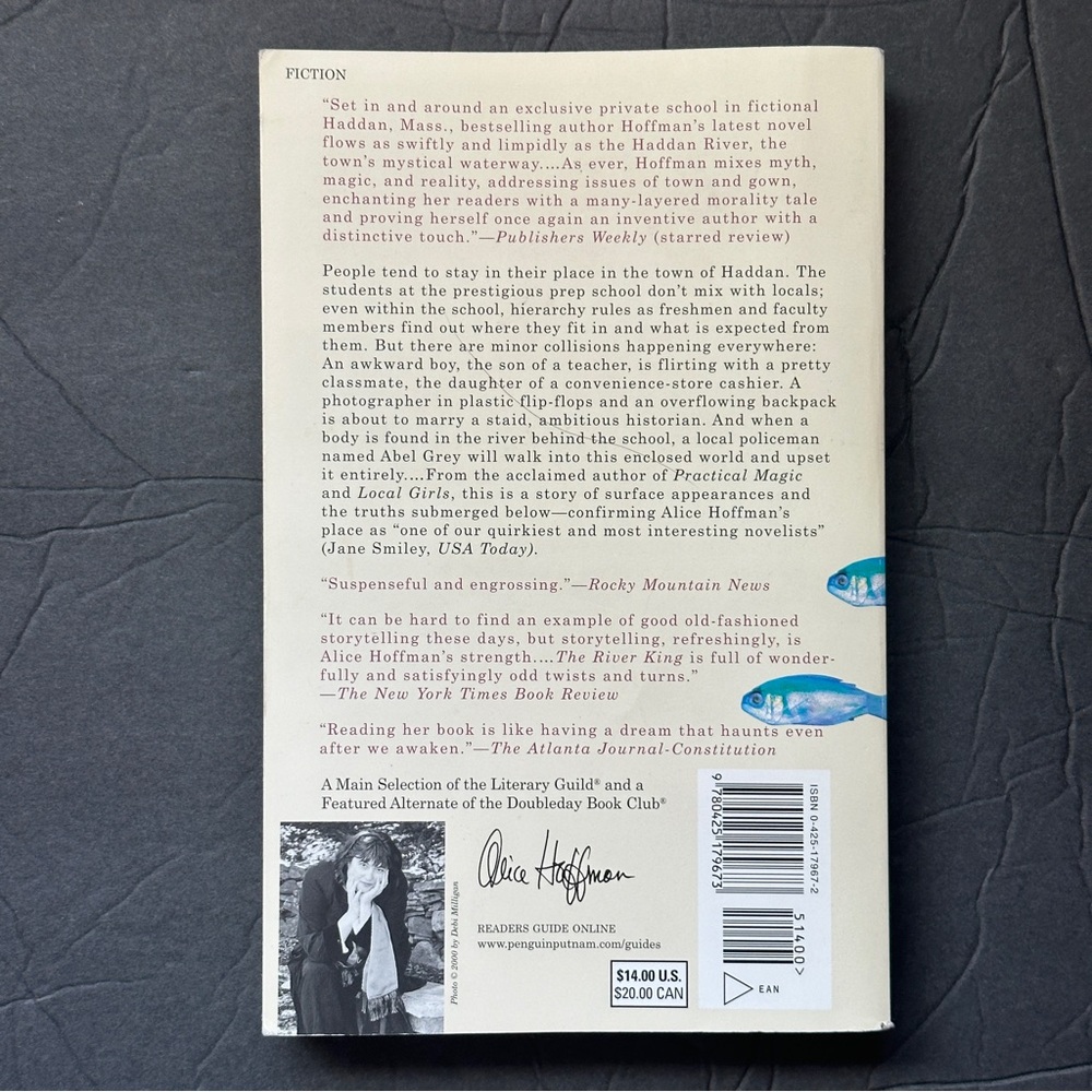 2 BOOK BUNDLE by Alice Hoffman | Fiction | Paperback Book (s) - Picture 5 of 9